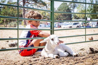 Una oportunidad para conocer el ganado de la zona