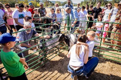 Una oportunidad para conocer el ganado de la zona