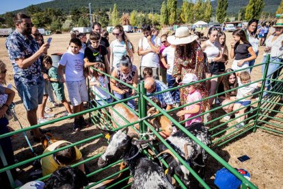 Una oportunidad para conocer el ganado de la zona