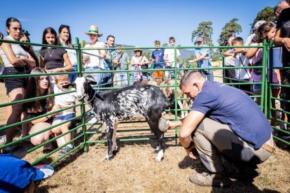 Una oportunidad para conocer el ganado de la zona
