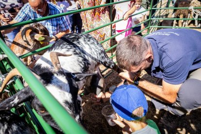 Una oportunidad para conocer el ganado de la zona