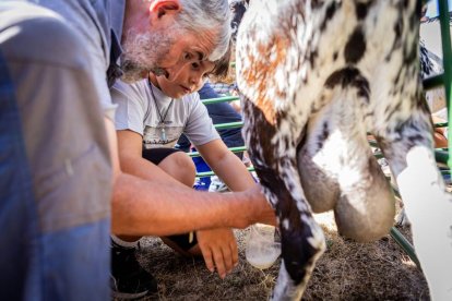 Una oportunidad para conocer el ganado de la zona