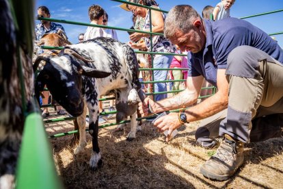 Una oportunidad para conocer el ganado de la zona