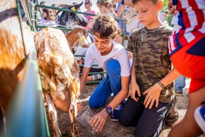 Una oportunidad para conocer el ganado de la zona