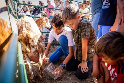 Una oportunidad para conocer el ganado de la zona