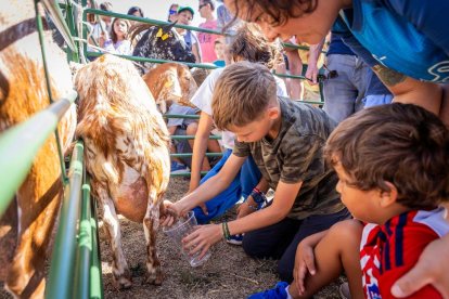 Una oportunidad para conocer el ganado de la zona