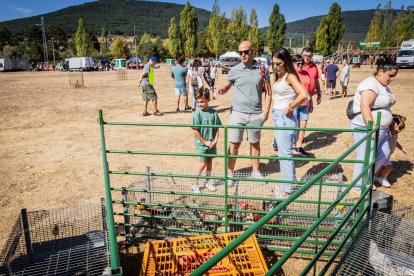 Una oportunidad para conocer el ganado de la zona