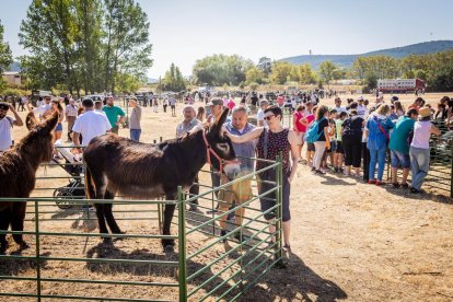 Una oportunidad para conocer el ganado de la zona