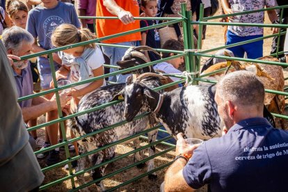 Una oportunidad para conocer el ganado de la zona