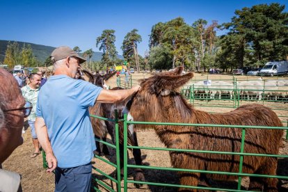 Una oportunidad para conocer el ganado de la zona