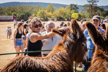 Una oportunidad para conocer el ganado de la zona