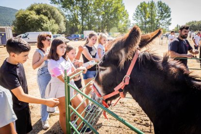 Una oportunidad para conocer el ganado de la zona