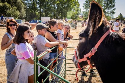 Una oportunidad para conocer el ganado de la zona