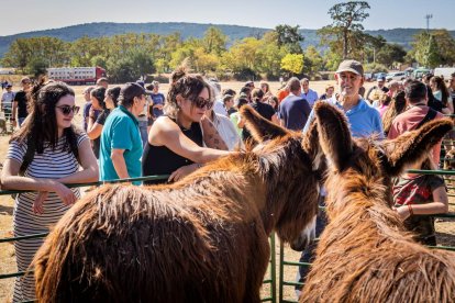 Una oportunidad para conocer el ganado de la zona