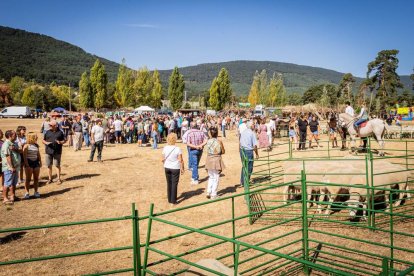 Una oportunidad para conocer el ganado de la zona