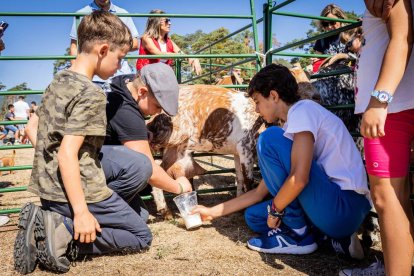 Una oportunidad para conocer el ganado de la zona