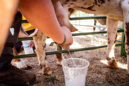 Una oportunidad para conocer el ganado de la zona