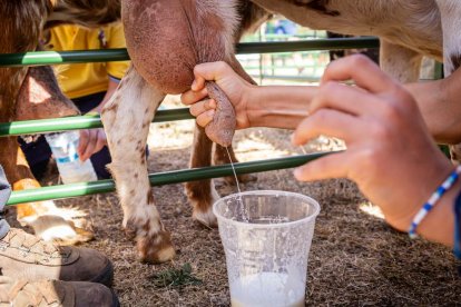 Una oportunidad para conocer el ganado de la zona