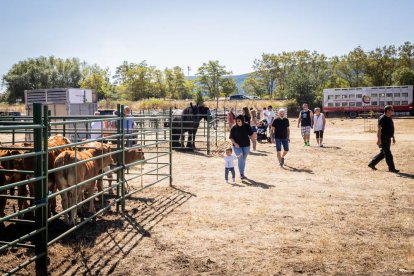 Una oportunidad para conocer el ganado de la zona