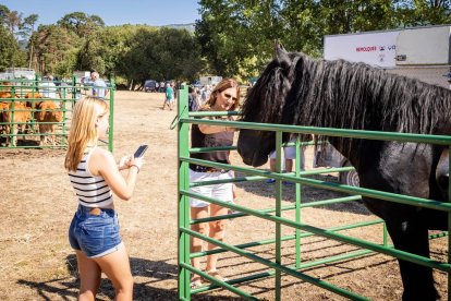 Una oportunidad para conocer el ganado de la zona