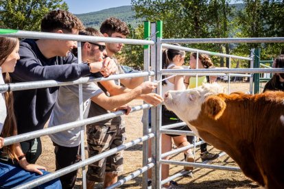 Una oportunidad para conocer el ganado de la zona