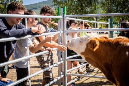 Una oportunidad para conocer el ganado de la zona