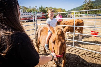 Una oportunidad para conocer el ganado de la zona