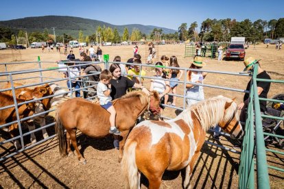 Una oportunidad para conocer el ganado de la zona