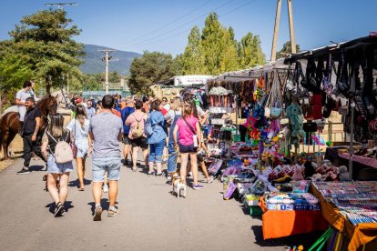 Una oportunidad para conocer el ganado de la zona