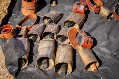 Una oportunidad para conocer el ganado de la zona