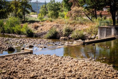 Una oportunidad para conocer el ganado de la zona