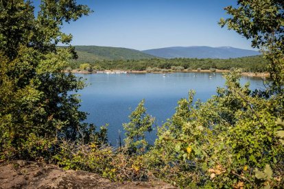 Una oportunidad para conocer el ganado de la zona