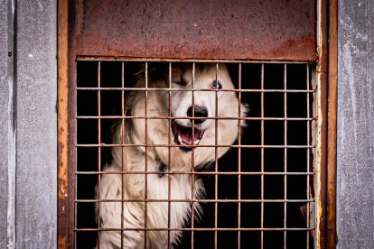 Un millar de corredores en esta undécima edición