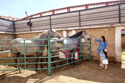 Concentración de ganado de carácter de exposición e incluso venta de animales.