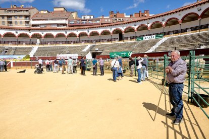 Concentración de ganado de carácter de exposición e incluso venta de animales.
