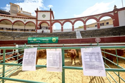 Concentración de ganado de carácter de exposición e incluso venta de animales.