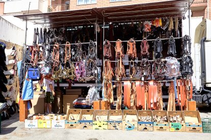 Concentración de ganado de carácter de exposición e incluso venta de animales.