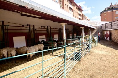 Concentración de ganado de carácter de exposición e incluso venta de animales.