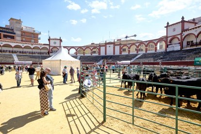 Concentración de ganado de carácter de exposición e incluso venta de animales.