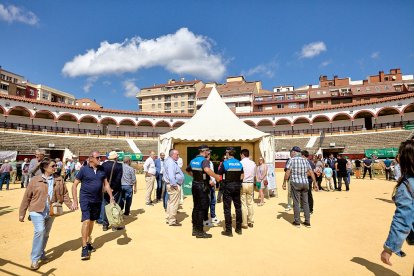 Concentración de ganado de carácter de exposición e incluso venta de animales.