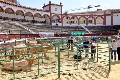 Concentración de ganado de carácter de exposición e incluso venta de animales.