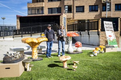 Las piezas son obras de Santiago González