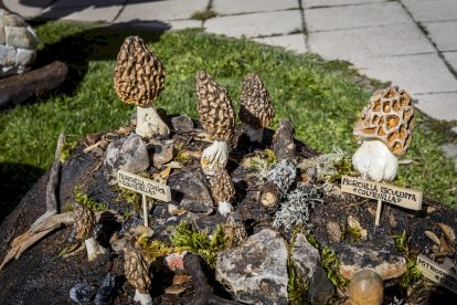 Las piezas son obras de Santiago González