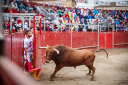 El primer festejo taurino de las fiestas de San Miguel 2025.