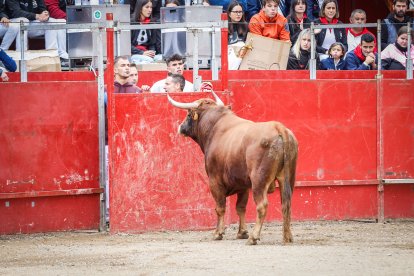 El primer festejo taurino de las fiestas de San Miguel 2025.