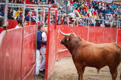El primer festejo taurino de las fiestas de San Miguel 2025.