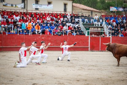 El primer festejo taurino de las fiestas de San Miguel 2025.