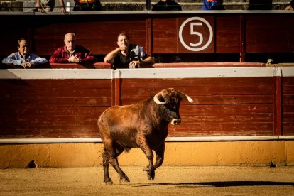 La clase practica contó con cuatro toreros