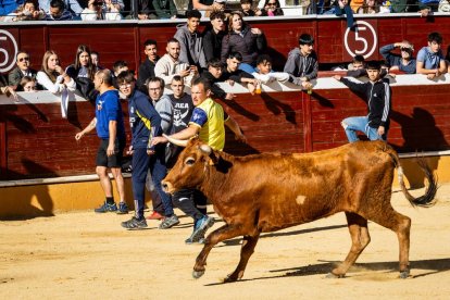 Recortes, quiebros y algún revolcón