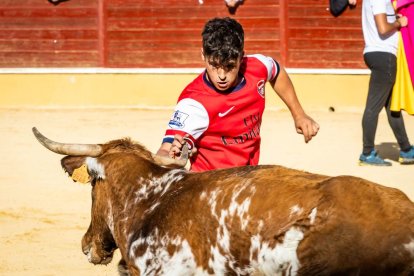 Recortes, quiebros y algún revolcón